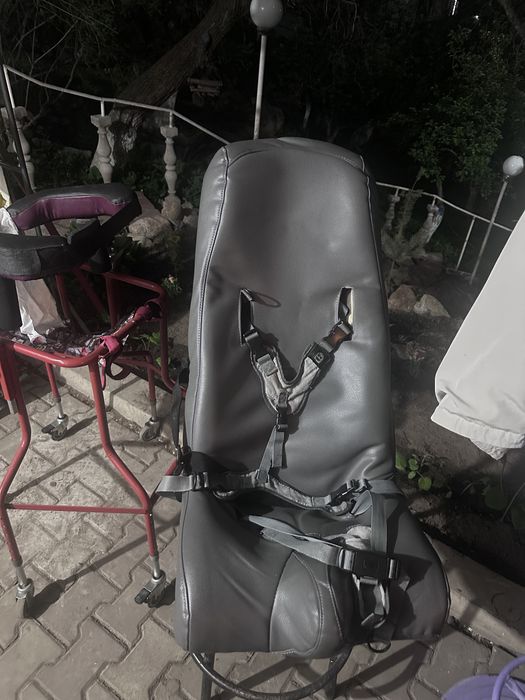 Кресло Special Tomato Sitter