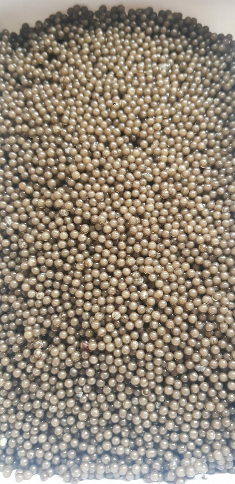 Icre Caviar Gold Beluga  100gr