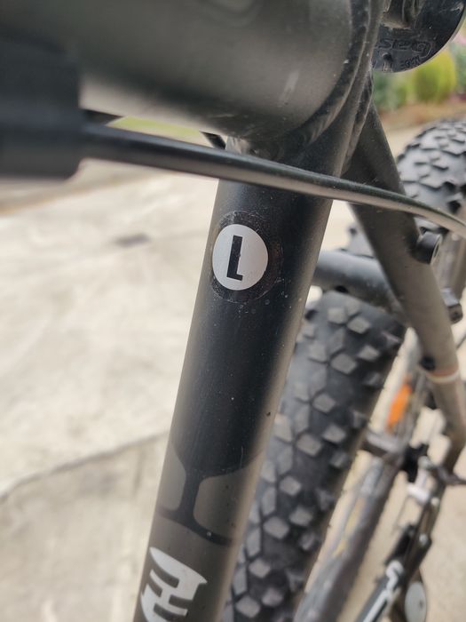 Bicicleta Focus FatBoy