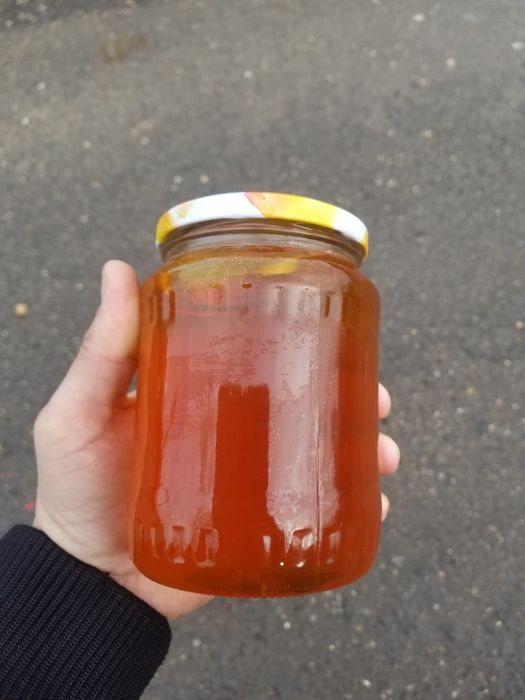 Miere naturala 100% poliflora Dunare,Padure si campie.