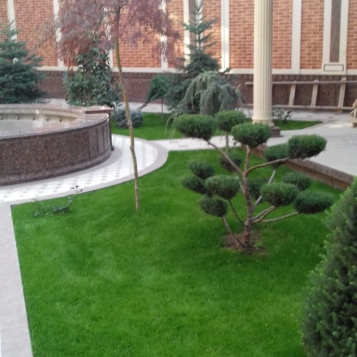 Gazon ekish optom narxlarda landshaft xizmati