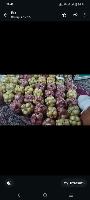 Продам яблоки Алматинский есть два вида красный и жёлтый