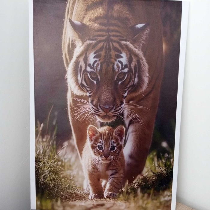 Постер новый для дома или офиса, не дорого, размер 60 на 43см