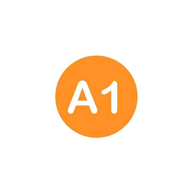 A1 formular CNPP