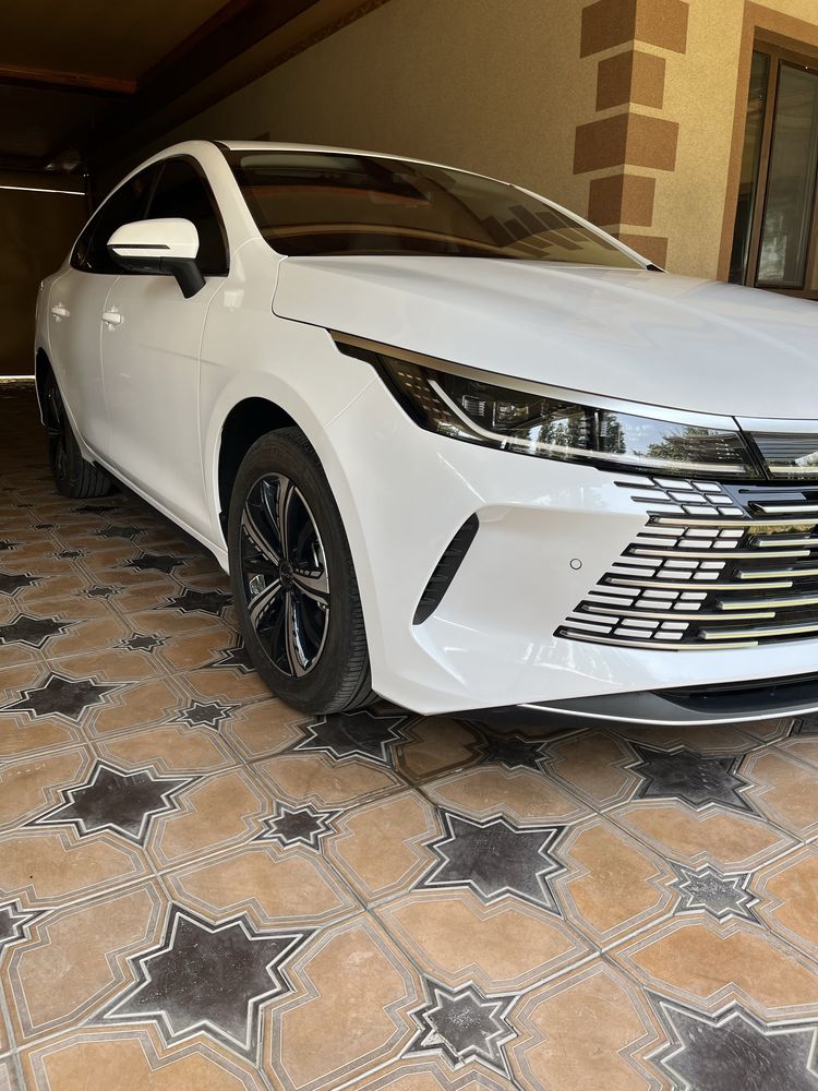 Byd Chazor 120km FLagship