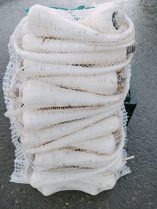 Păstârnac de vanzare