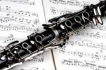 Ofer lecții de clarinet și teoria muzicii.