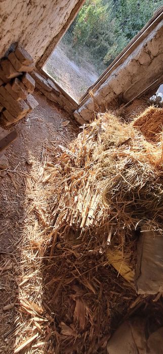 Маккажухори пояси сотилади