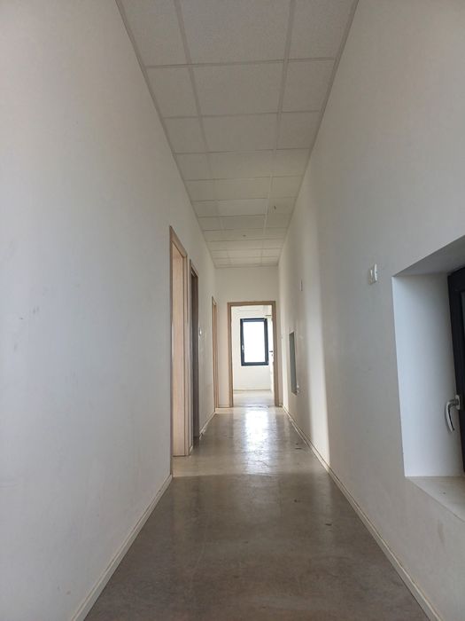 Hală  Birouri Apartament Parcare