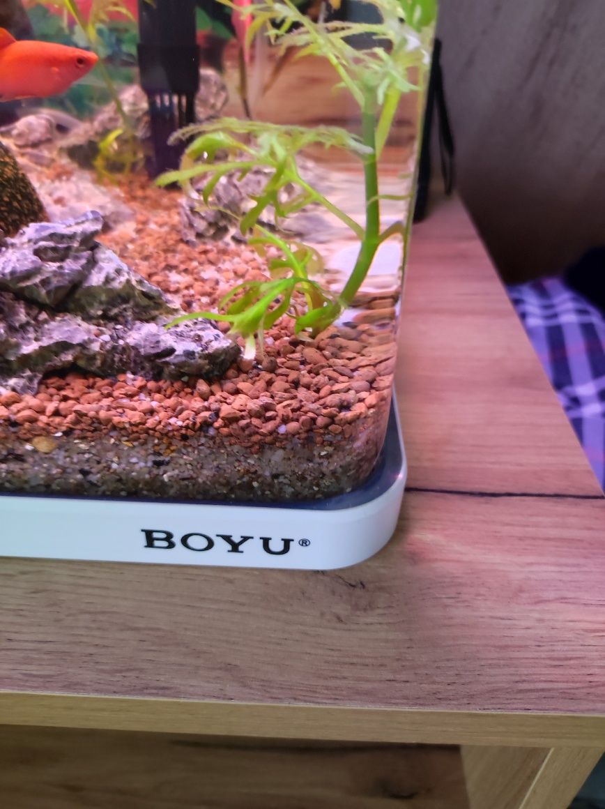 Vând acvariu complet Boyu 80 litrii