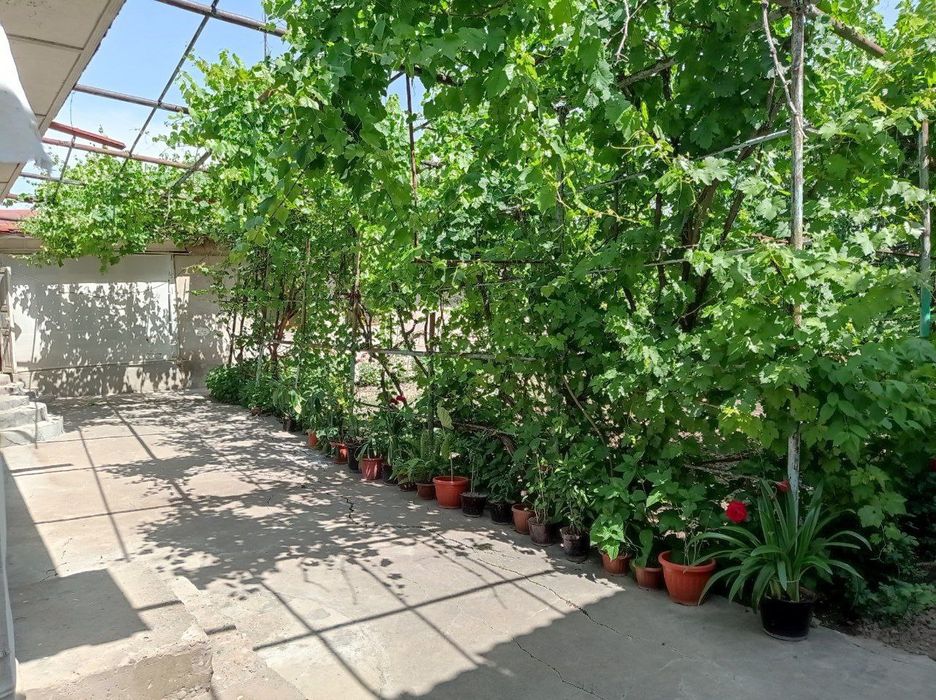 UY SOTILADI 15 sotix