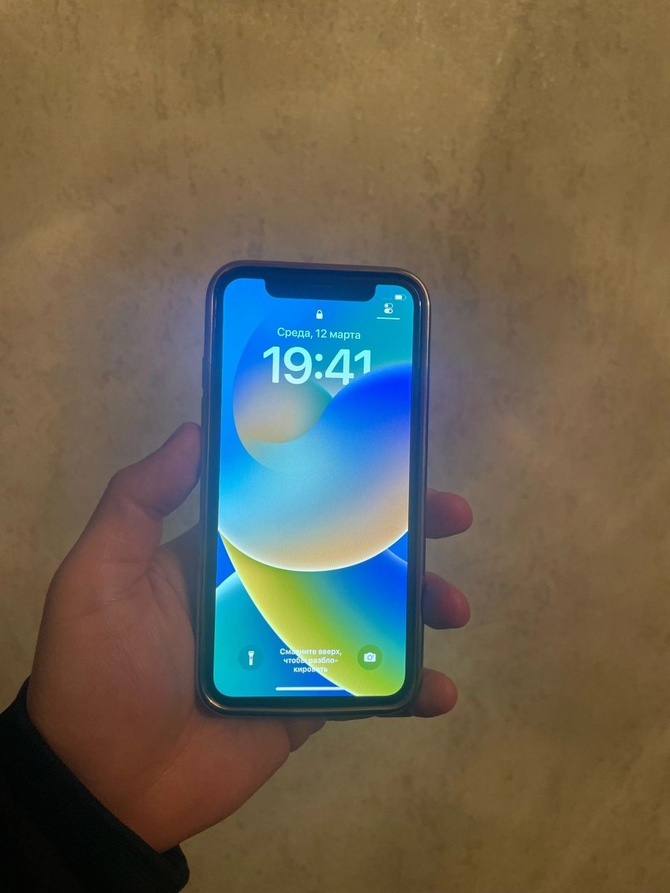 IPhone X 256gb 100%