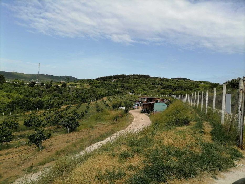 Голям парцел с двустайно сглобяемо жилище и черешова градина