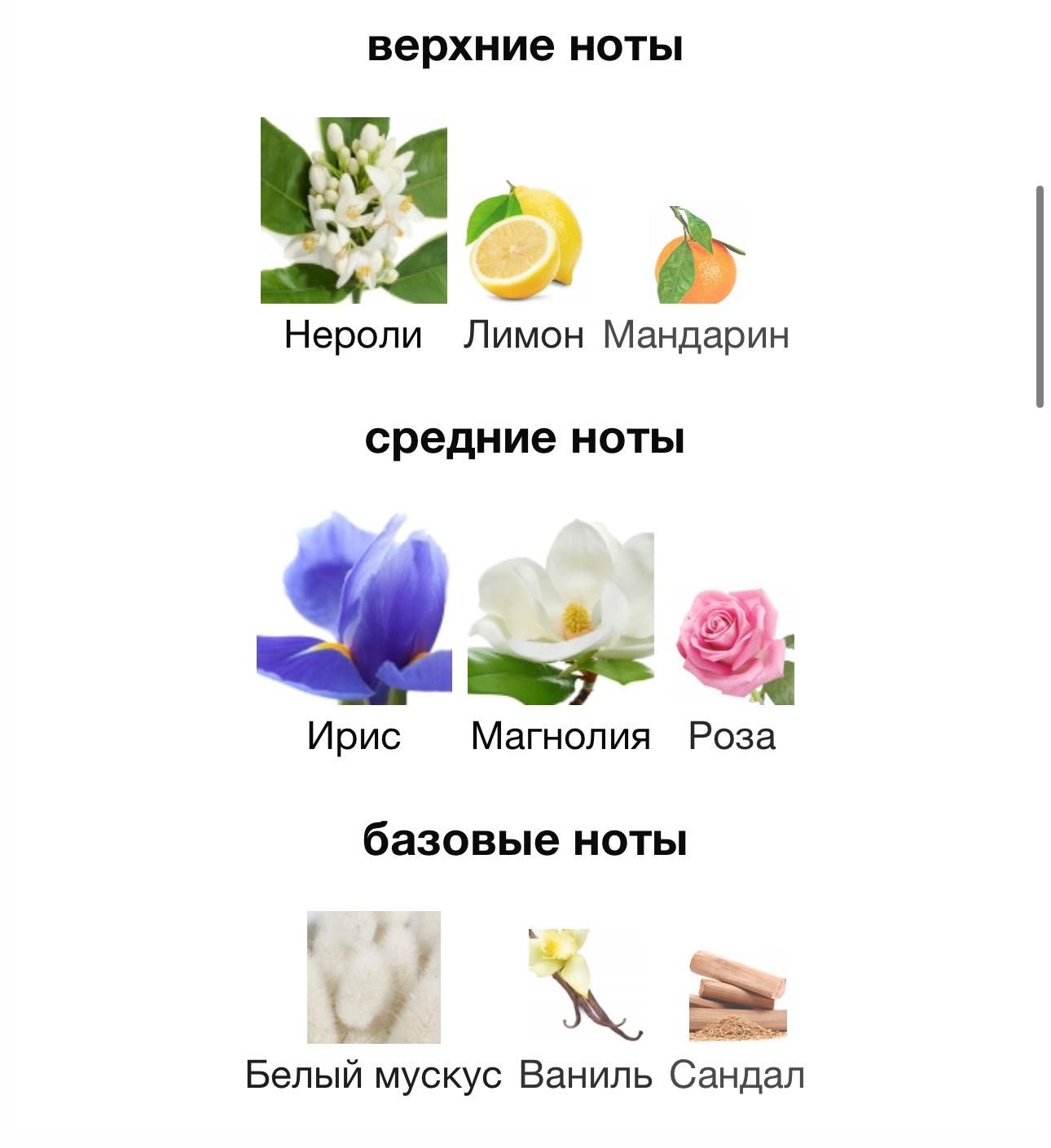 Духи Horseball “Iris” оригинал