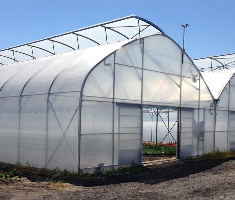 issiqxona uchun optom plonka