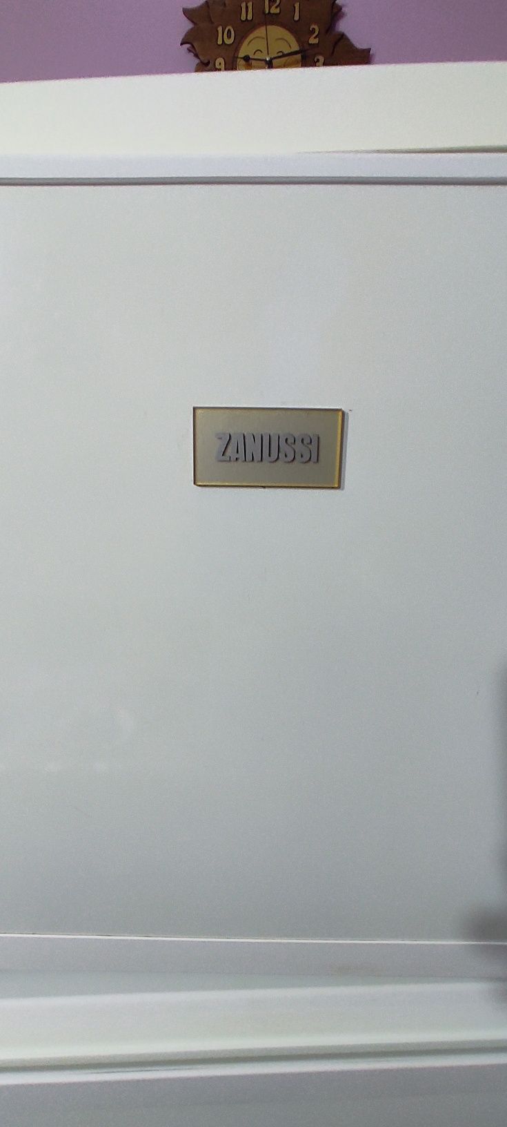 Хладилник с камера Зануси