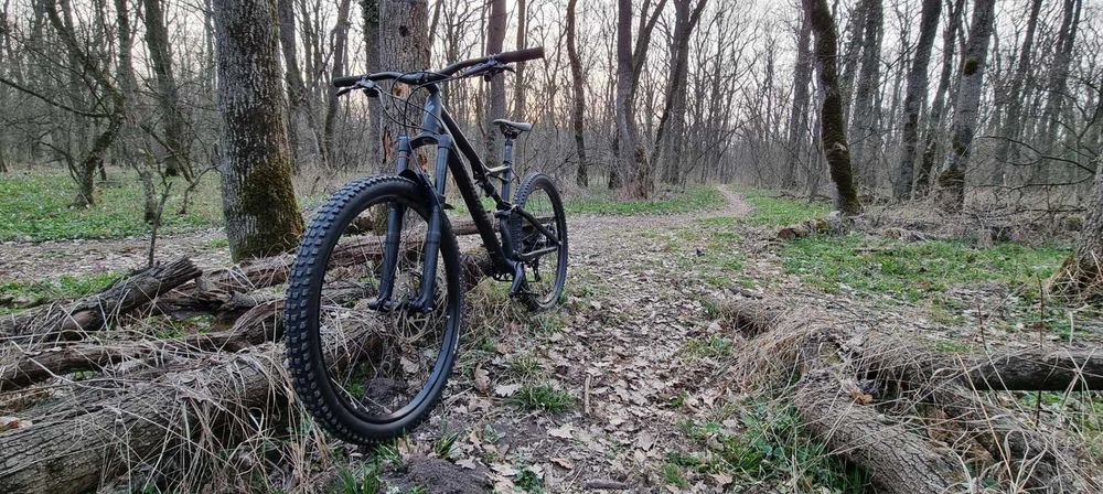 Specialized Stumpjumper FSR Comp 29 2017
