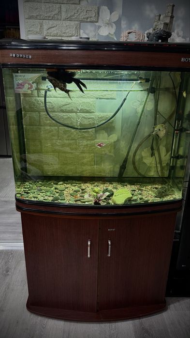 Продам Аквариум 300 литров!