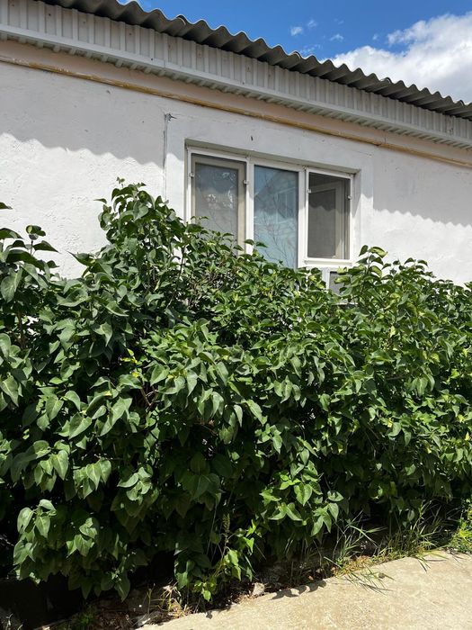 Срочно продам дом