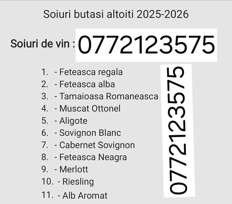 Butasi vita de vie altoiți și hibrid