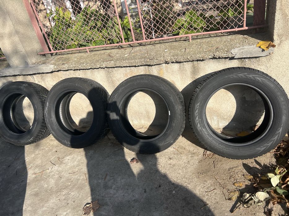 Зимни гуми Nokian WR SUV 4 – 225/60 R17 103H XL