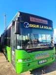 Autobuze automat agreate scoala de soferi