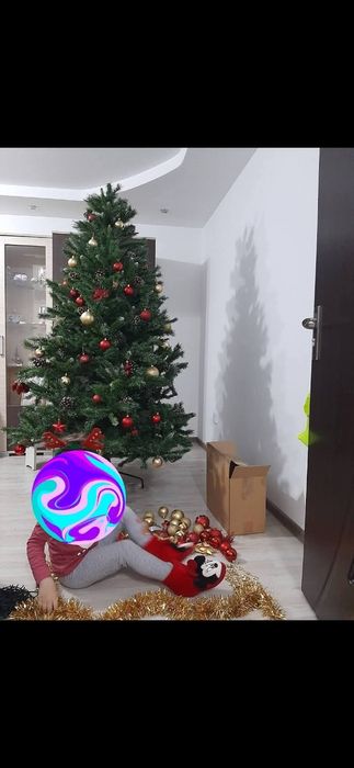 Brad 2.20 crengute dese