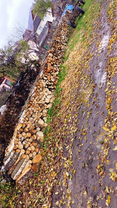 Vand lemene stejar si carpen