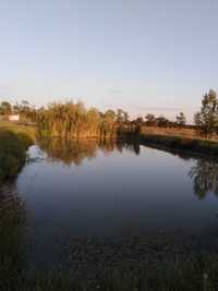 Vand proprietate in Miersig, 21 km de Oradea