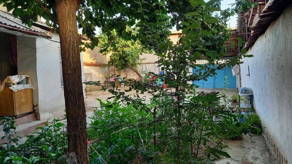 продаю  дом без посредник Себзор махаллада