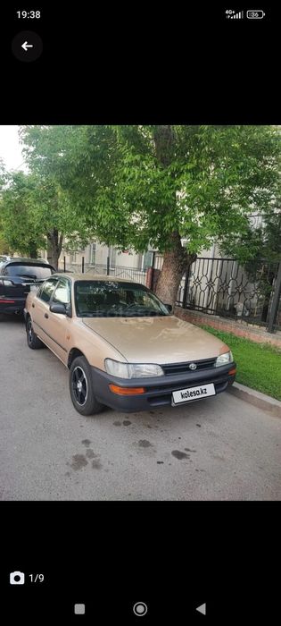 TOYOTA Corolla  продам
