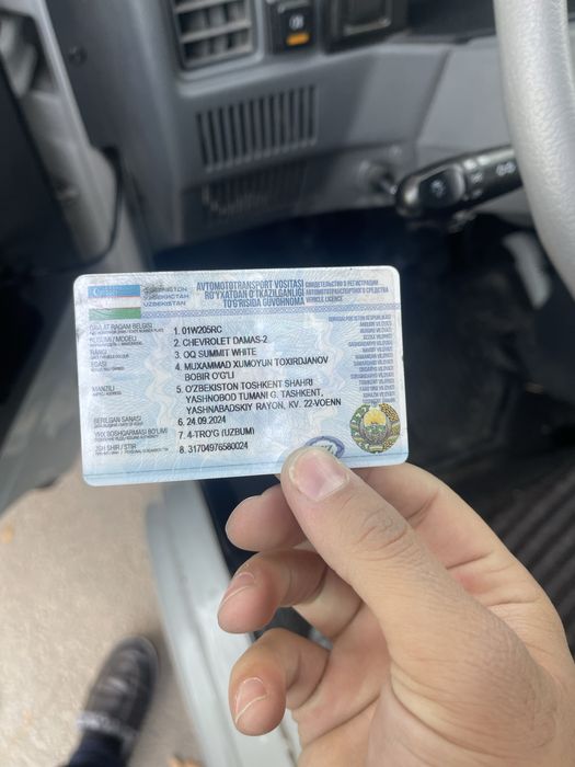 Damas Дамас 2024/2025