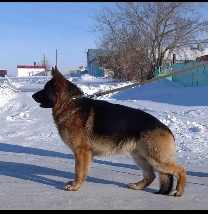 Кабель на вязку.