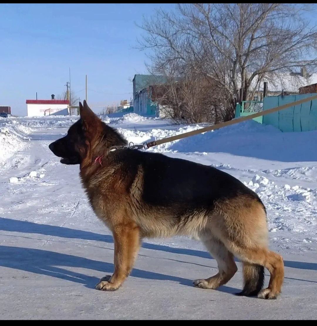 Кабель на вязку.