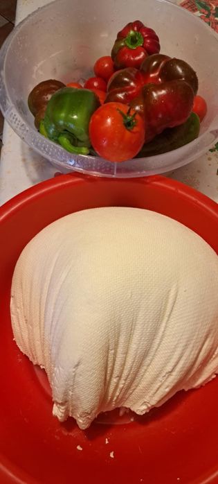 Vând brânză de capră