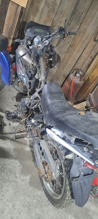 Racer Reindjer 200cc