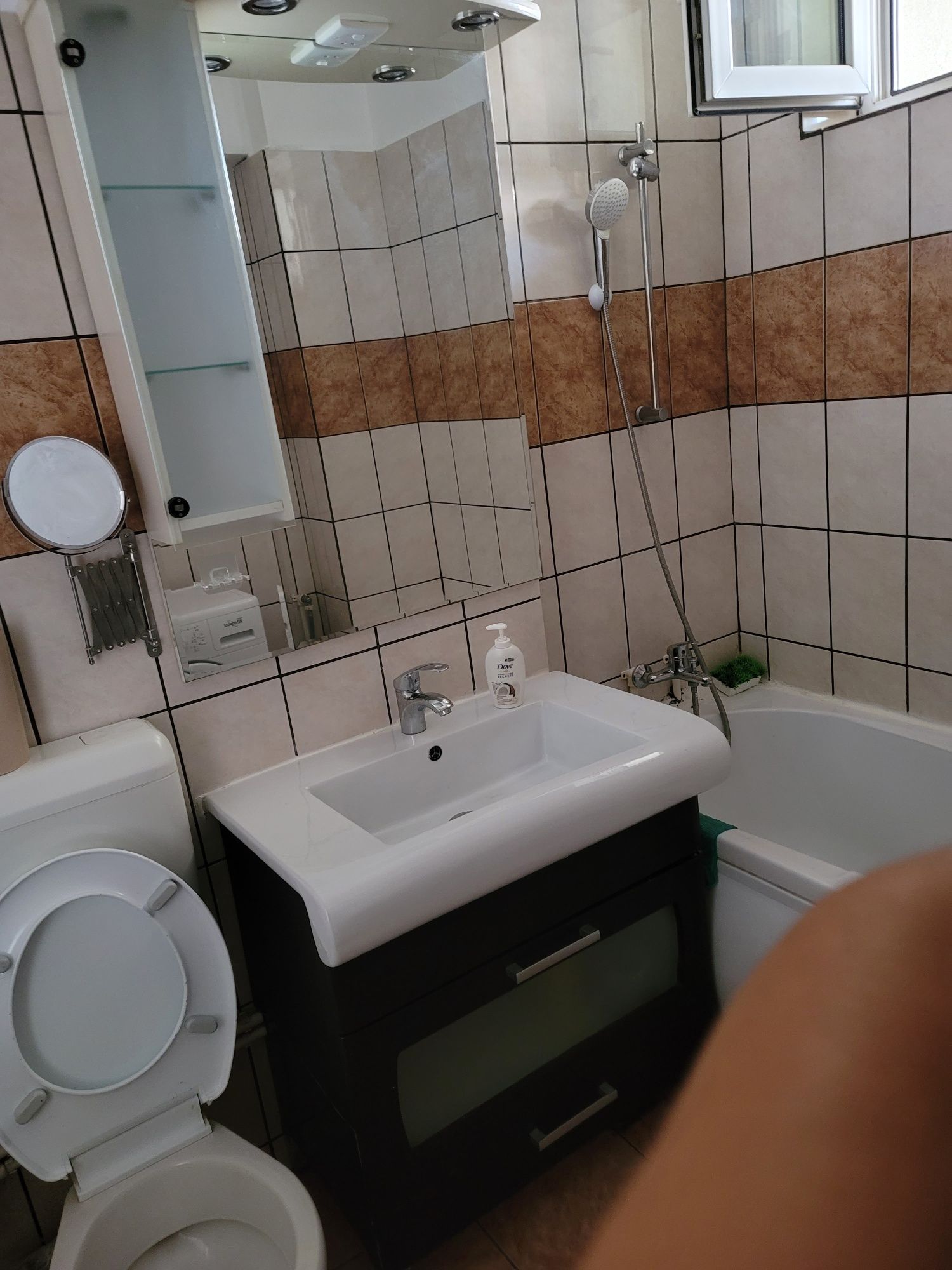 Colega apartament, Gradina Icoanei