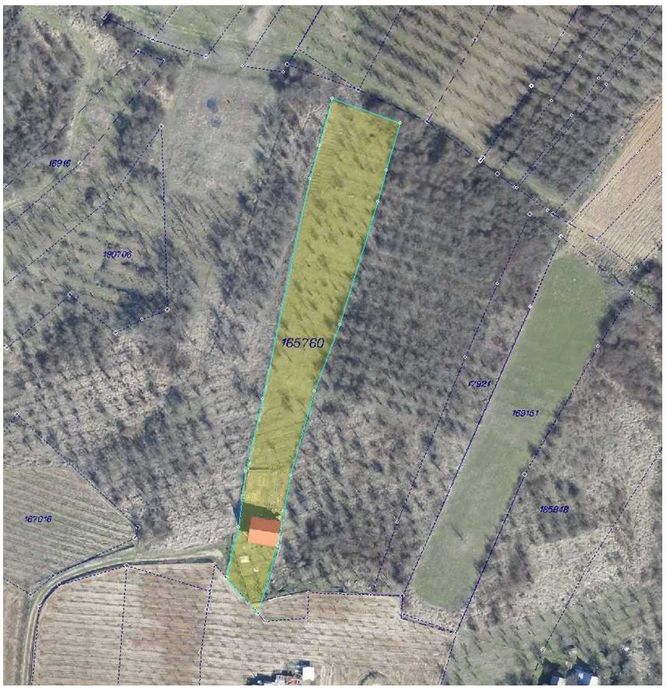 Teren 3687 mp cu casa si 2 fronturi stradale de vanzare Oradea