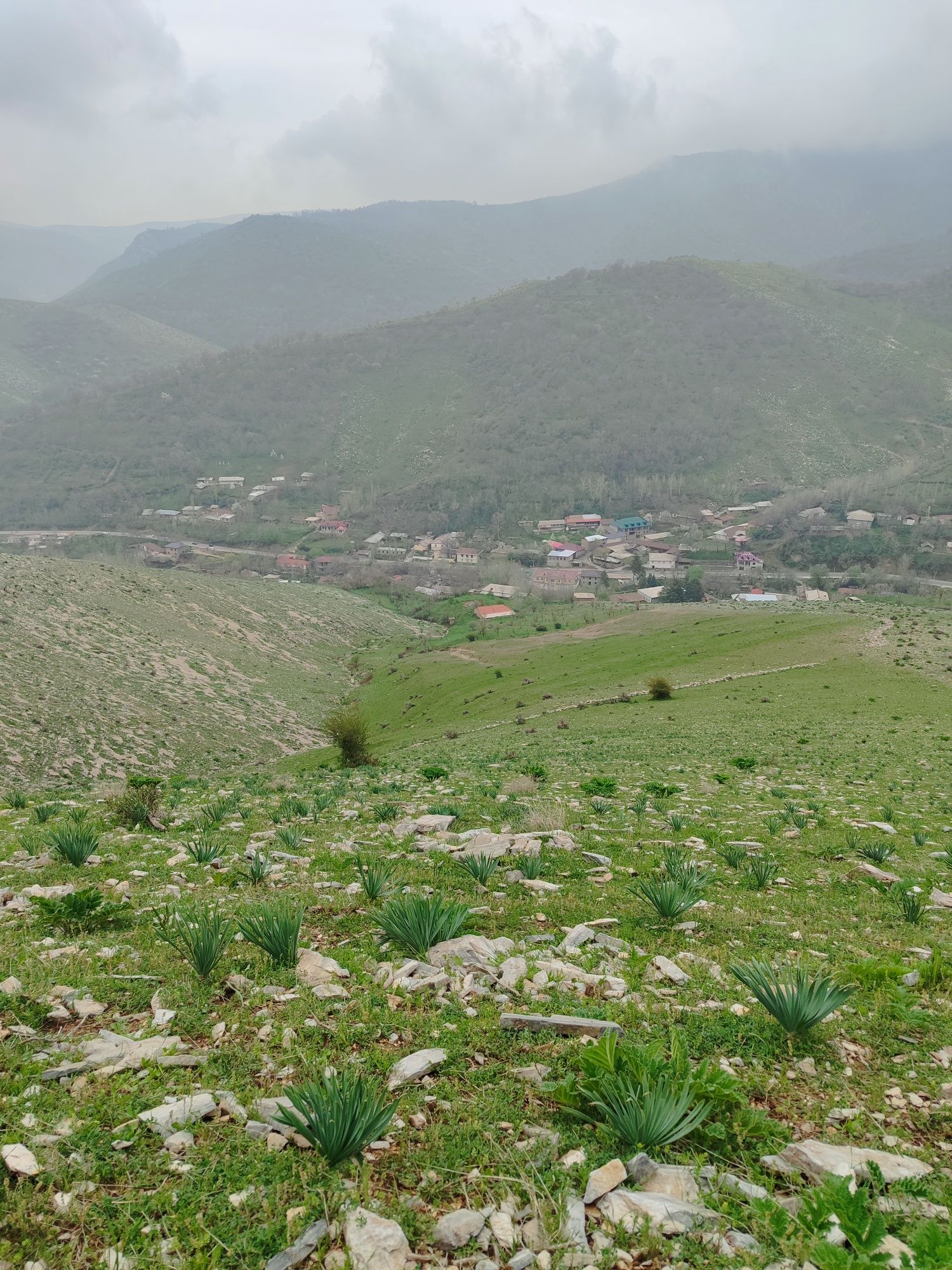 Artizan xizmatlari ya'ni suv chiqarish xizmatlari