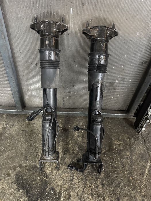 Задни амортисьори за Mercedes R class W251