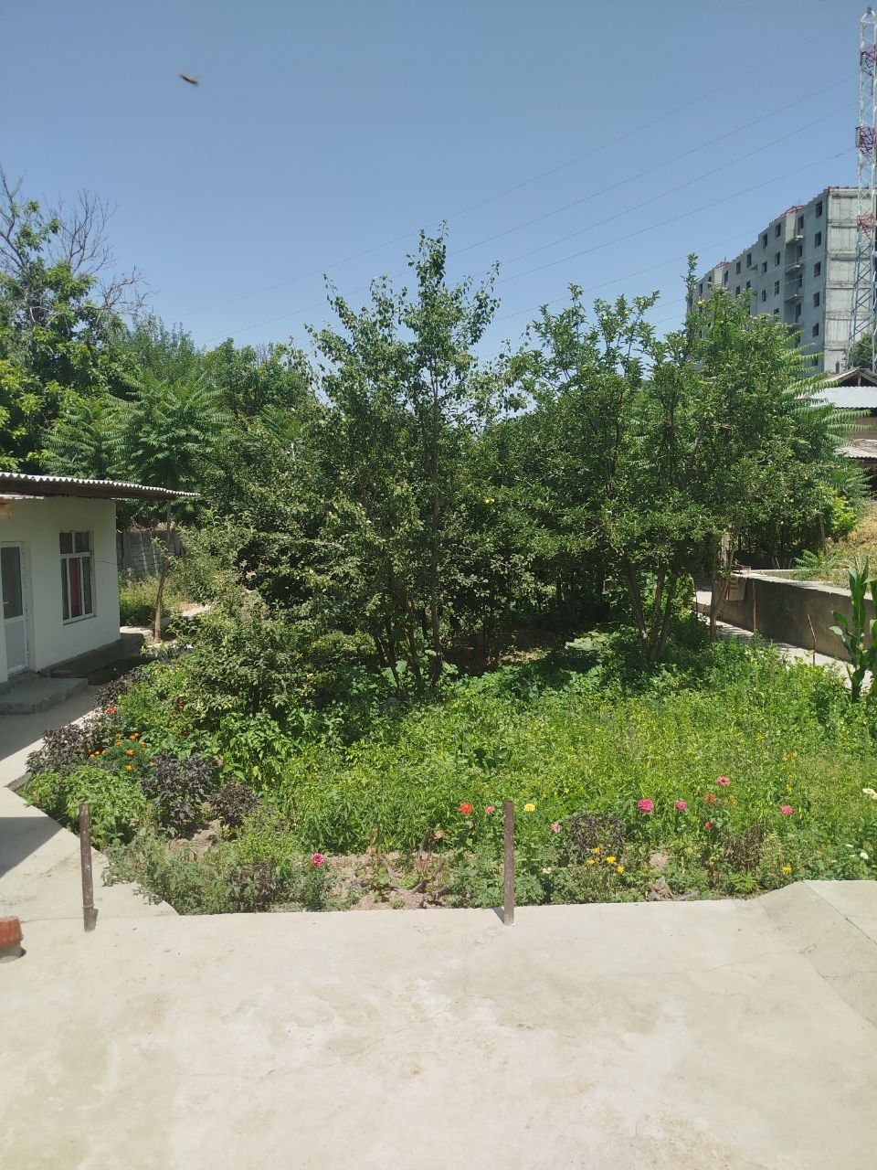 Ховли Чирчик Кипчокда