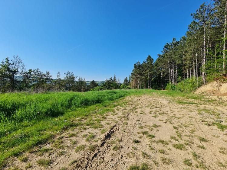 Teren intravilan de vanzare, zona Sf Ion, Parurea Faget