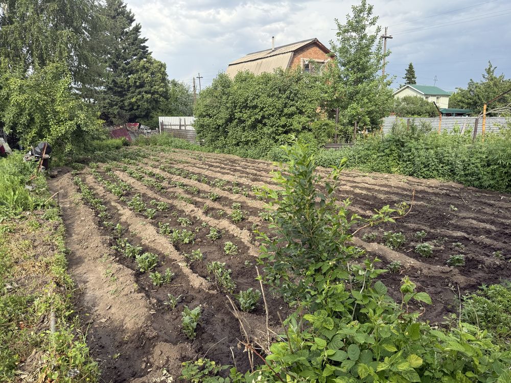 Срочно Продам дачу. Поселок Мирный или обменяю на машину