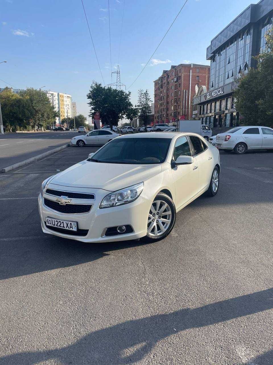 Malibu 1 (1 pozitsiya) 2012(Жемчуг)