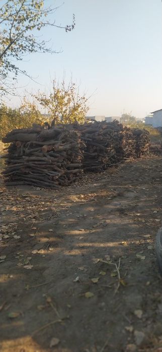 У́тинлар сотилади