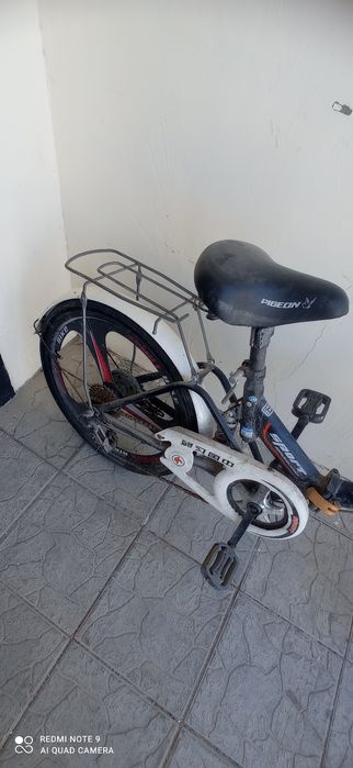 белесебет көп айдалған жок