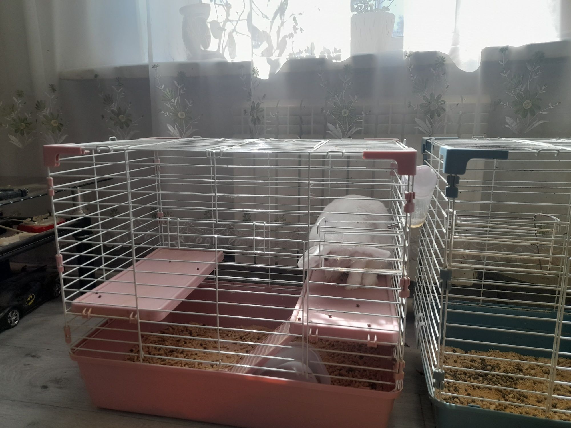 Продам большую сетку с кроликом.