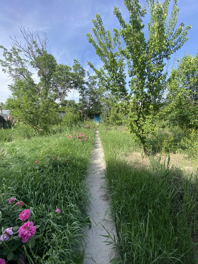 Продаётся Дача Кайнар Булак