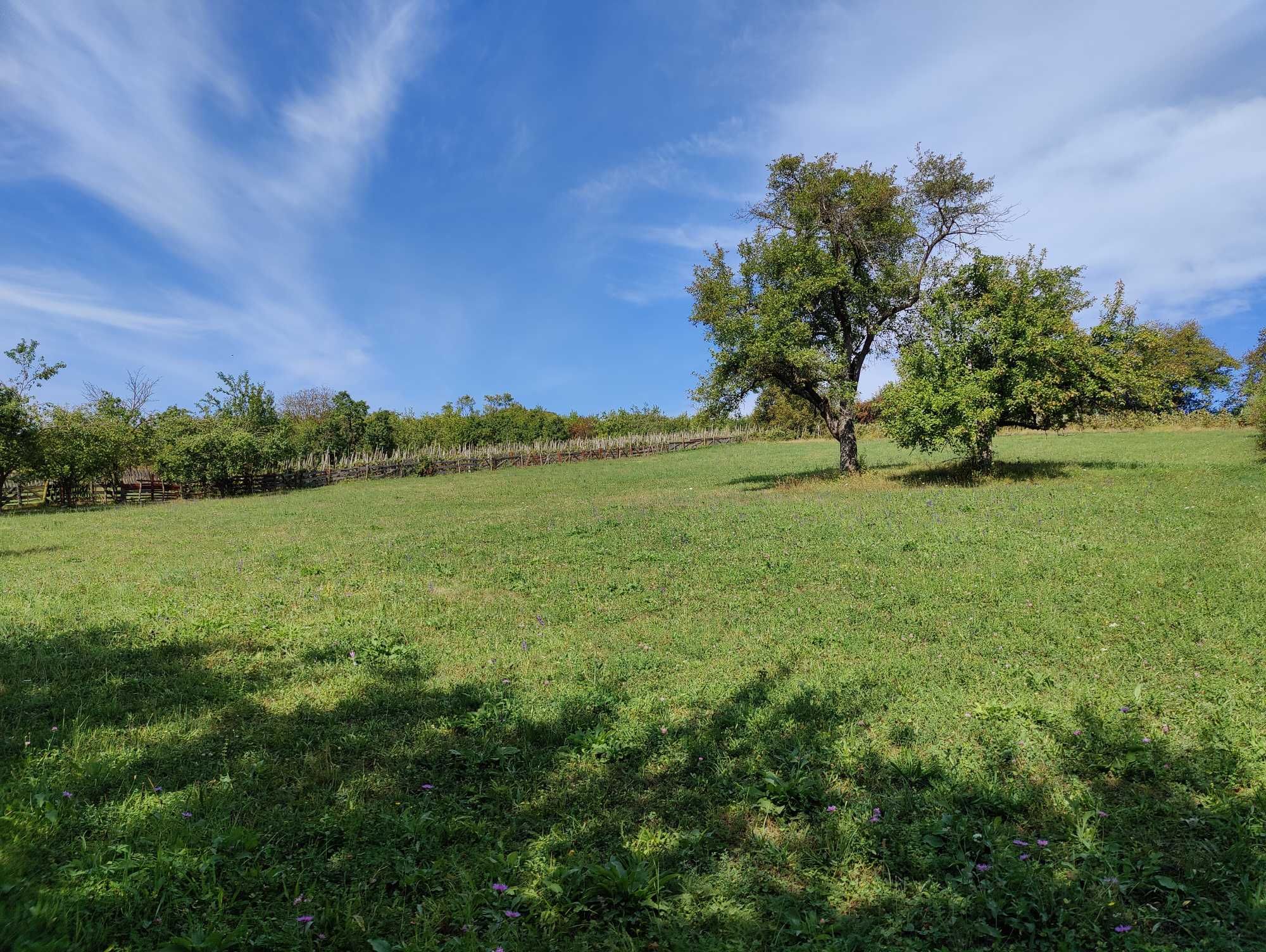 Casa la tara cu 88 arii gradina