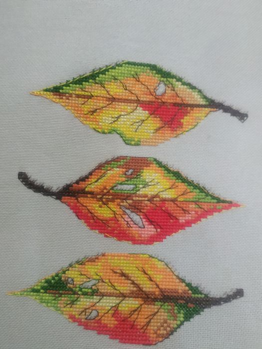 Вышивка на канве